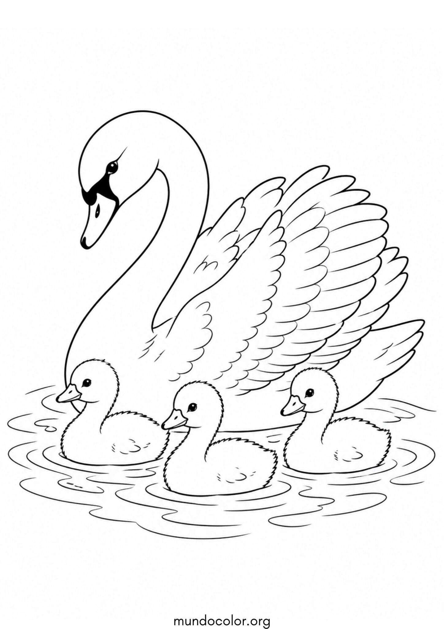 Dibujo de Cisne con sus crías para colorear