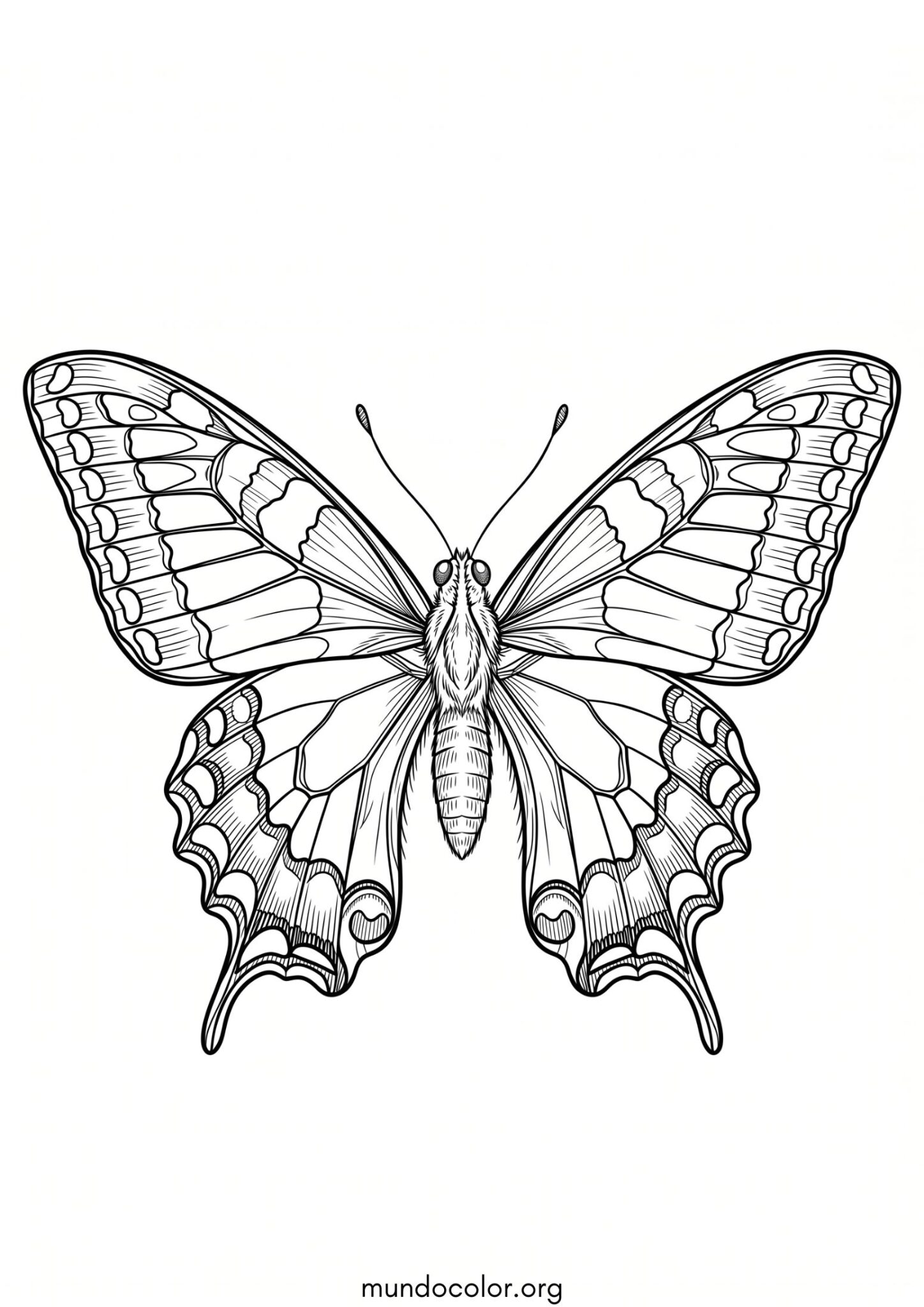 Dibujo de Mariposa cola de golondrina para colorear