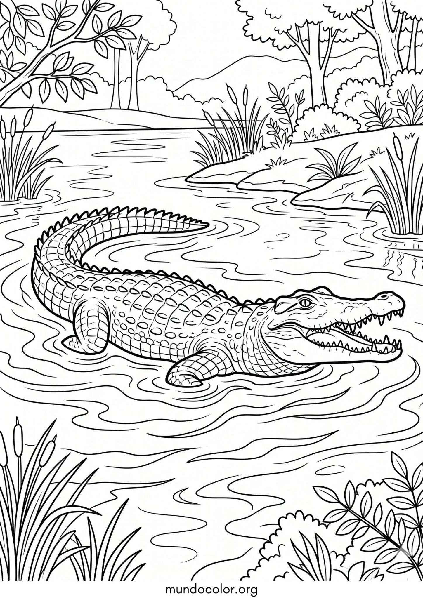 Dibujo de Cocodrilo en el río para colorear
