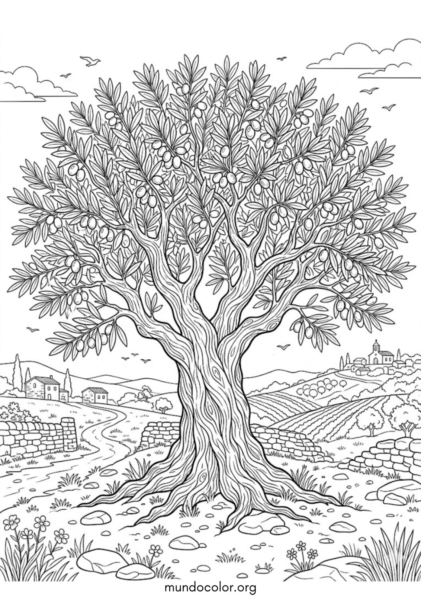 Dibujo de Olivo para colorear