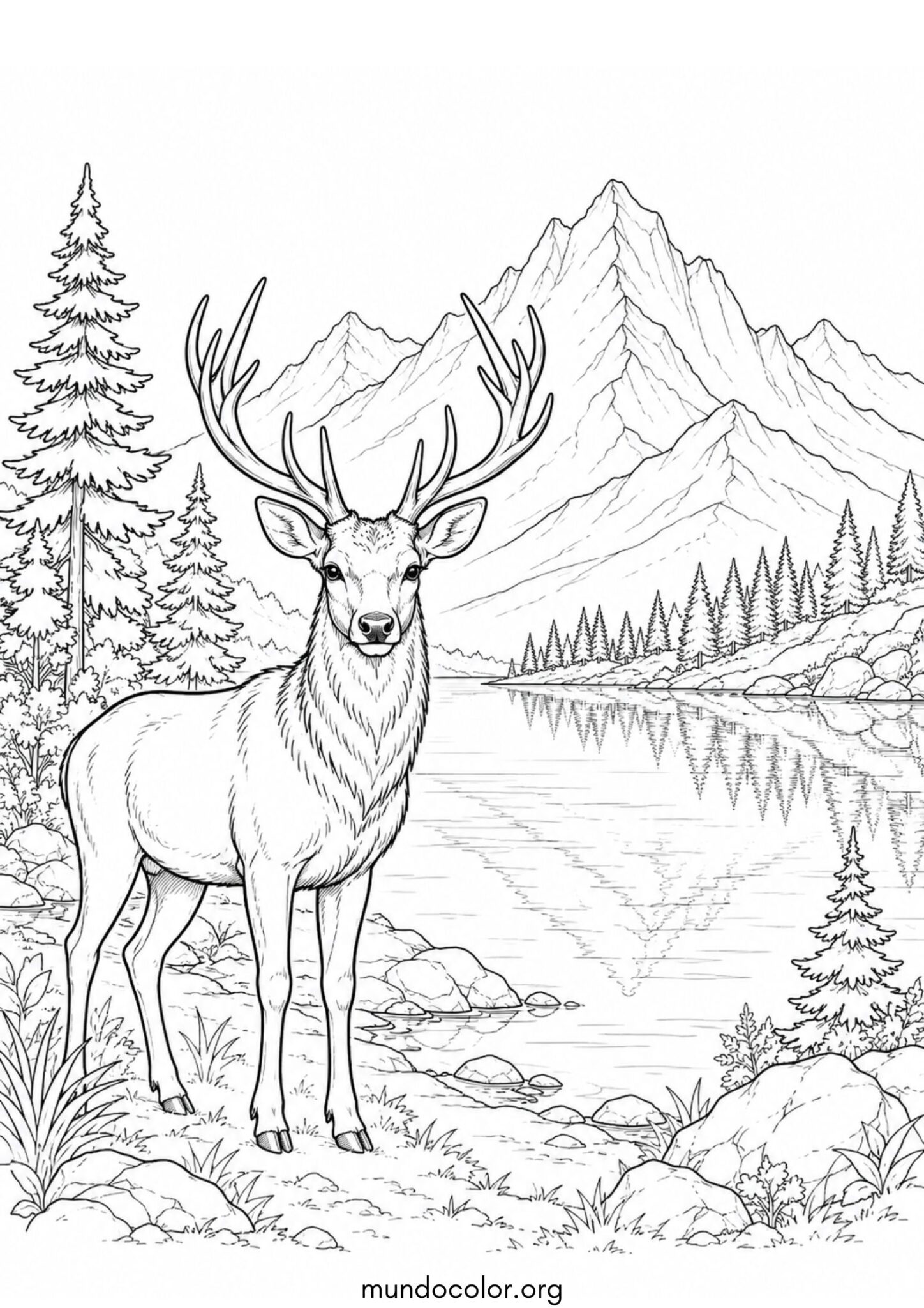 Dibujo de Ciervo junto al lago de la montaña para colorear