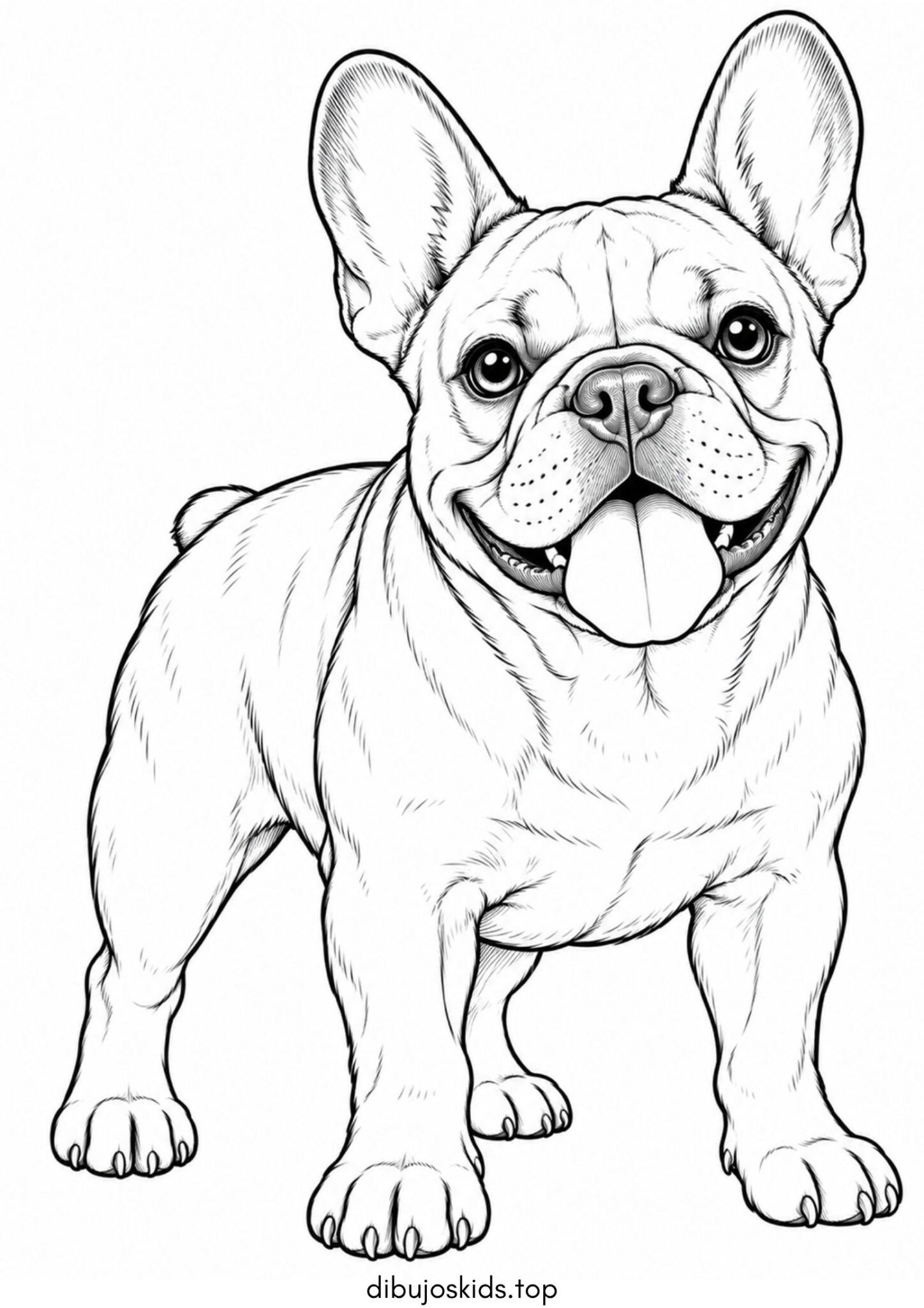 Dibujo de Bulldog francés para colorear