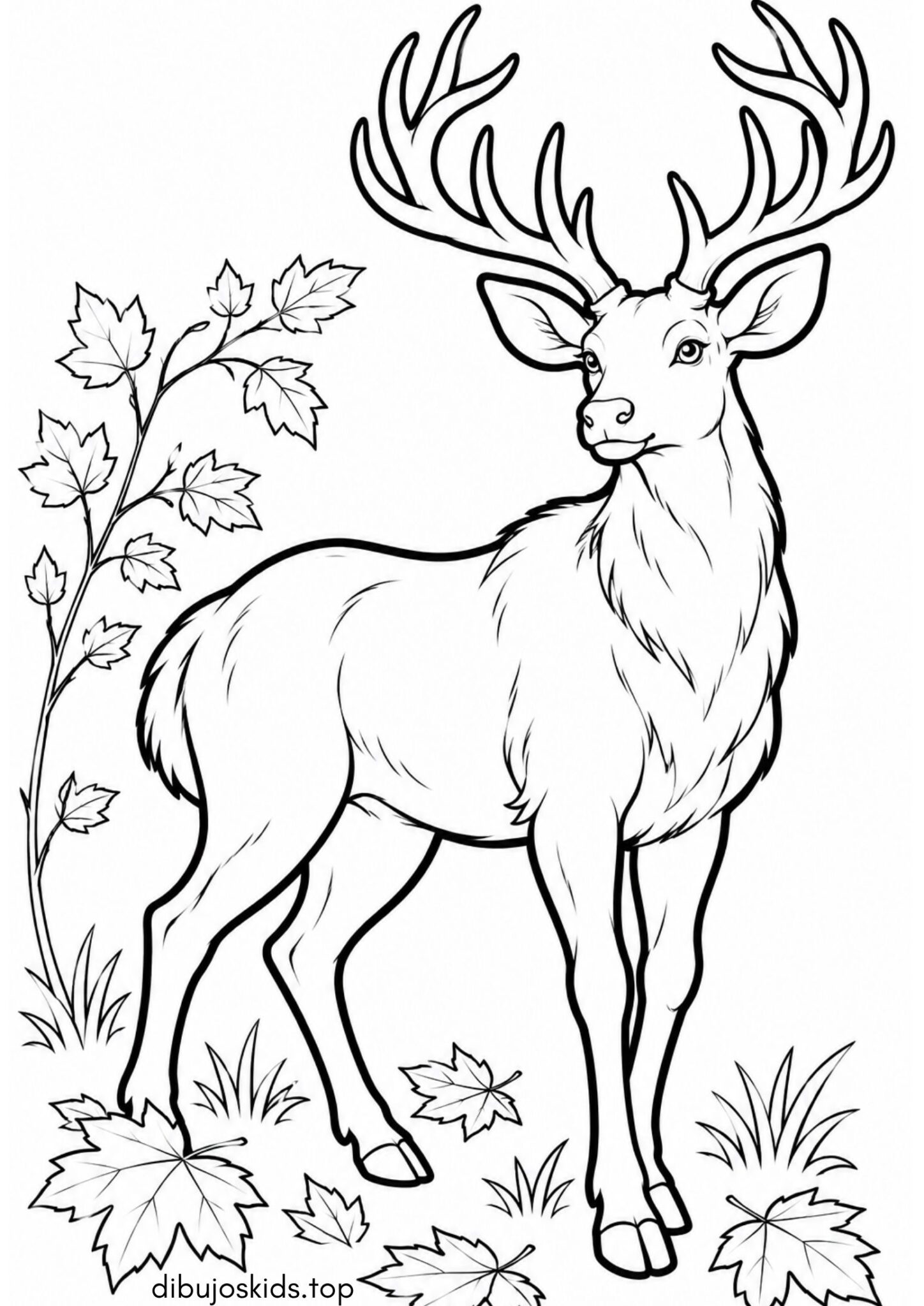 Dibujo de Ciervo noble en el claro del bosque de otoño para imprimir Dibujo de Ciervo noble en el claro del bosque de otoño para colorear