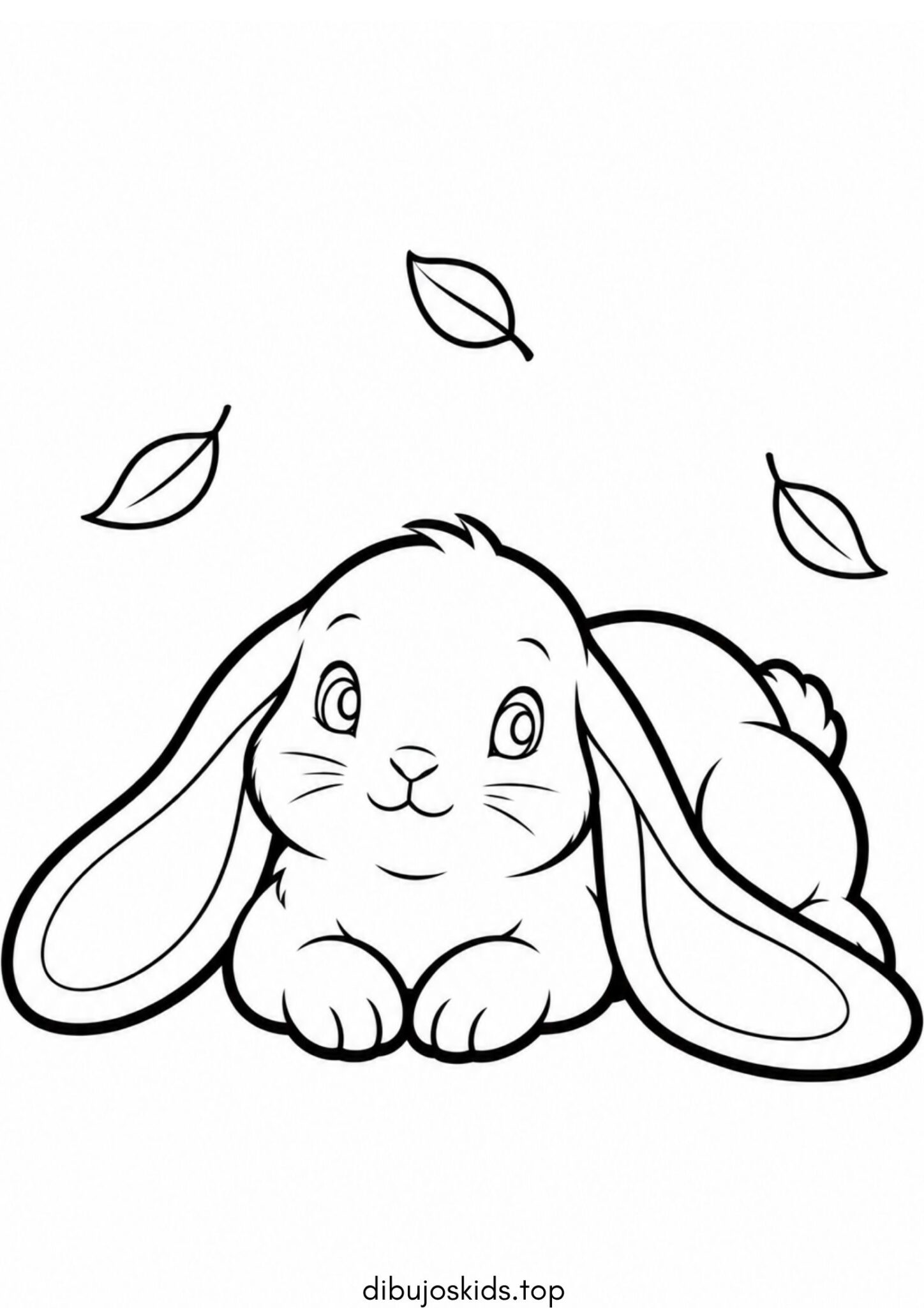 Dibujo de Conejo de orejas largas para colorear