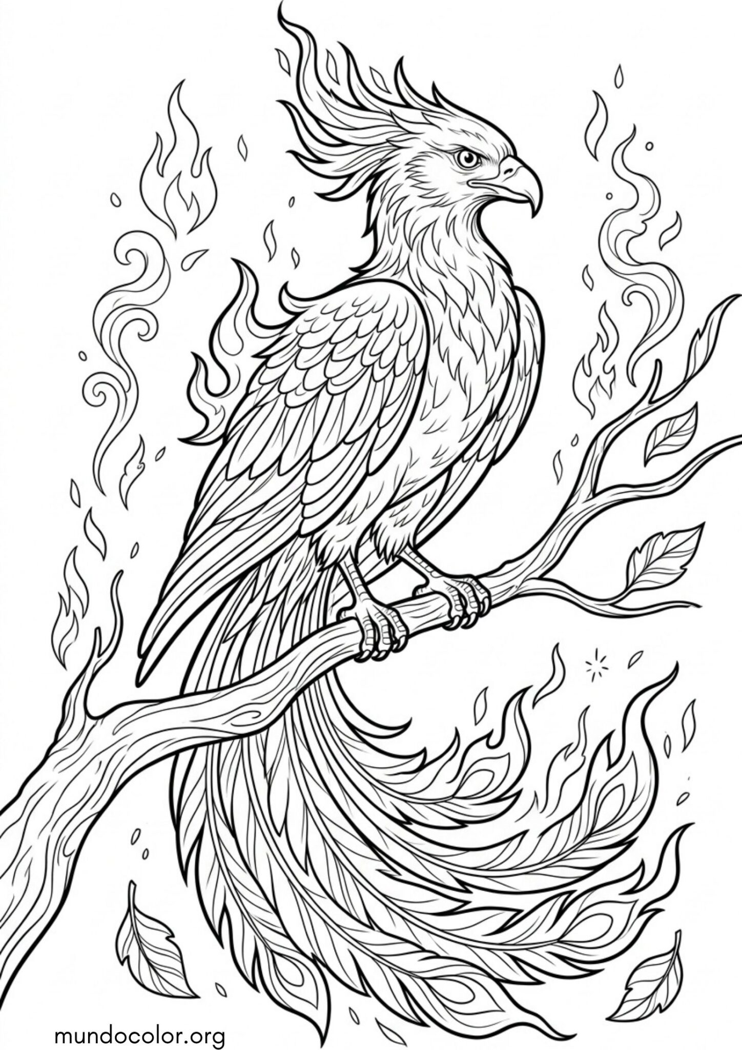 Dibujo de Fénix de fuego para colorear