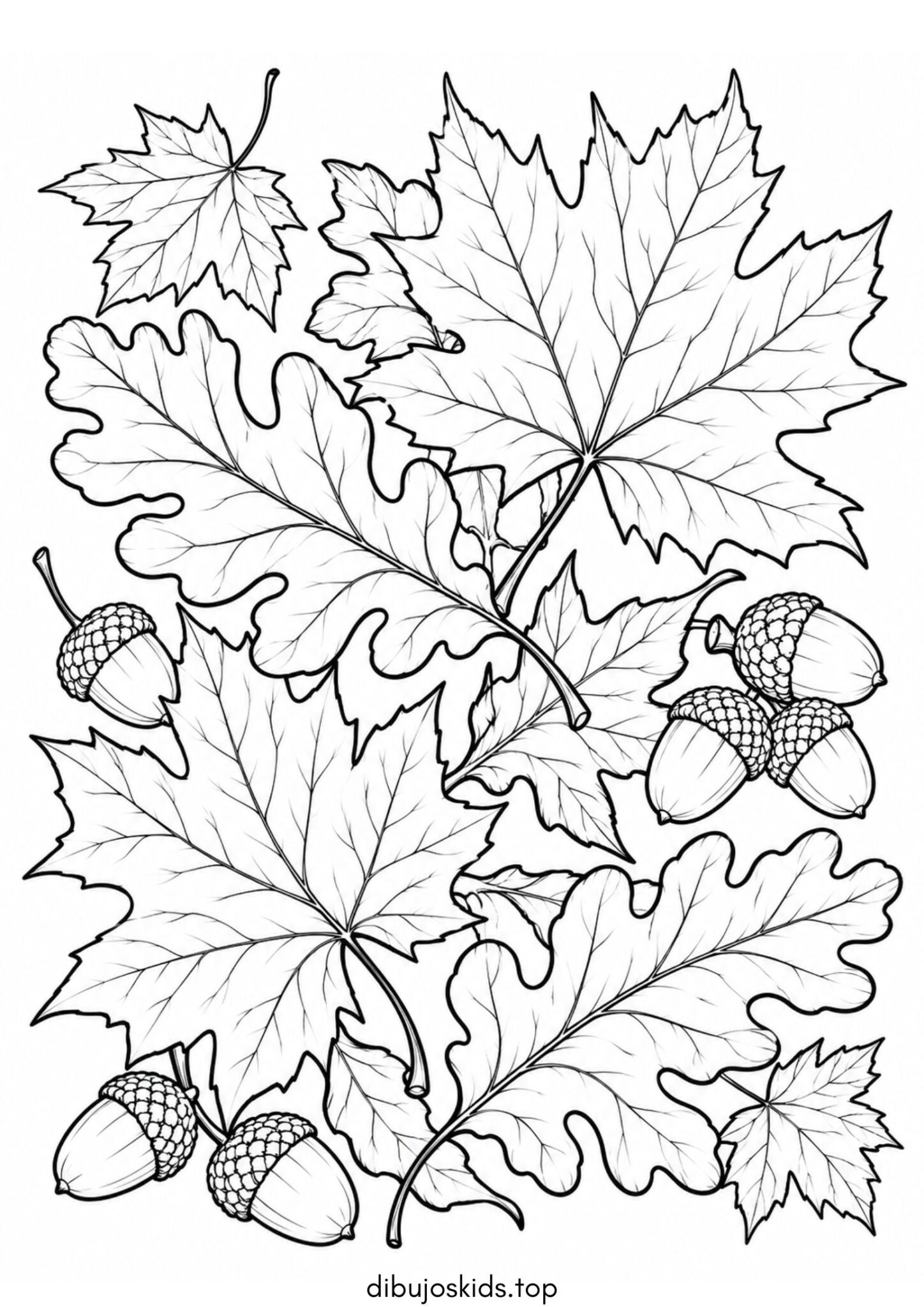 Dibujo de Otoño: Hojas secas de roble y arce para imprimir Dibujo de Otoño: Hojas secas de roble y arce para colorear