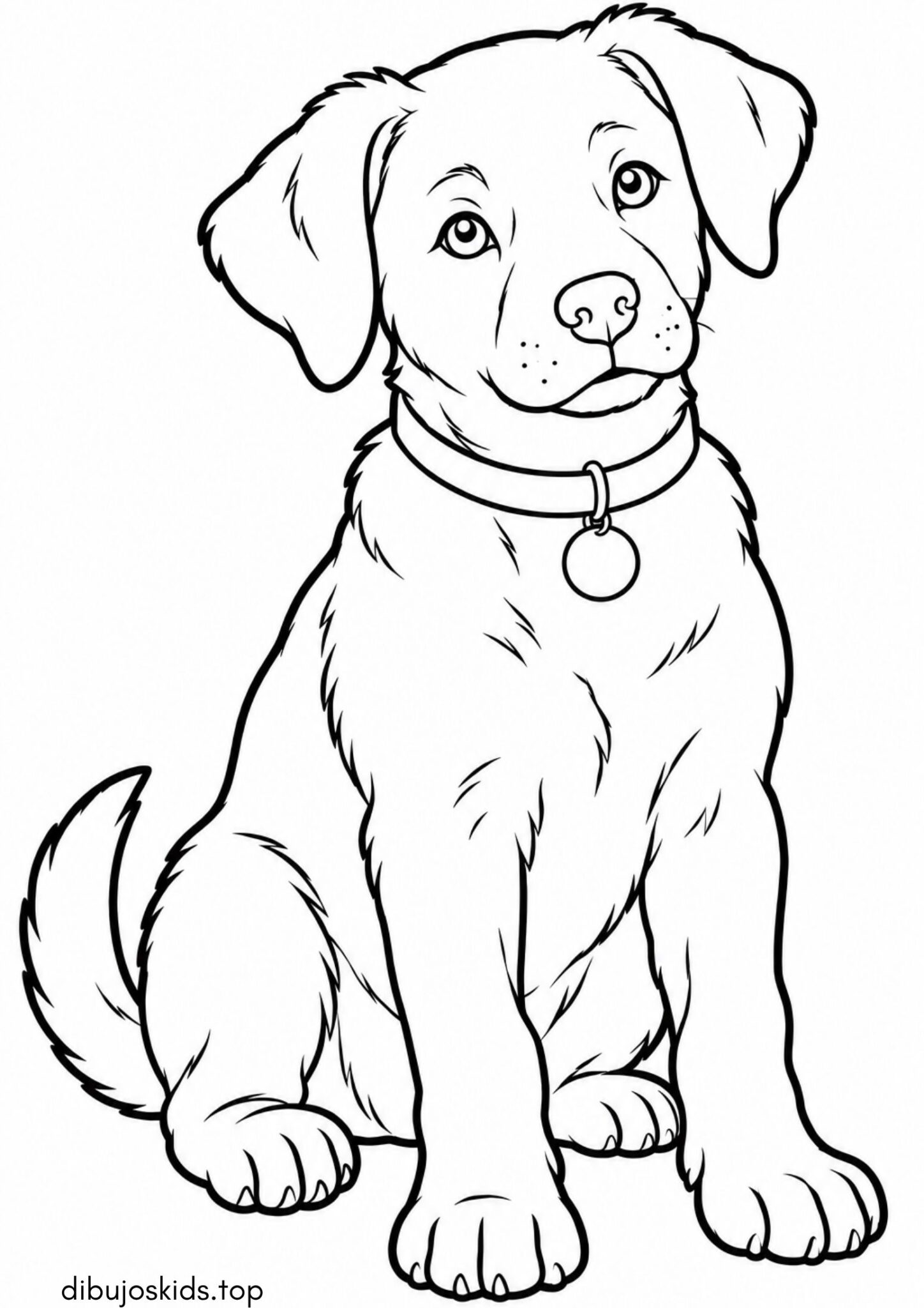 Dibujo de Lindo perrito con collar y medalla para imprimir Dibujo de Lindo perrito con collar y medalla para colorear