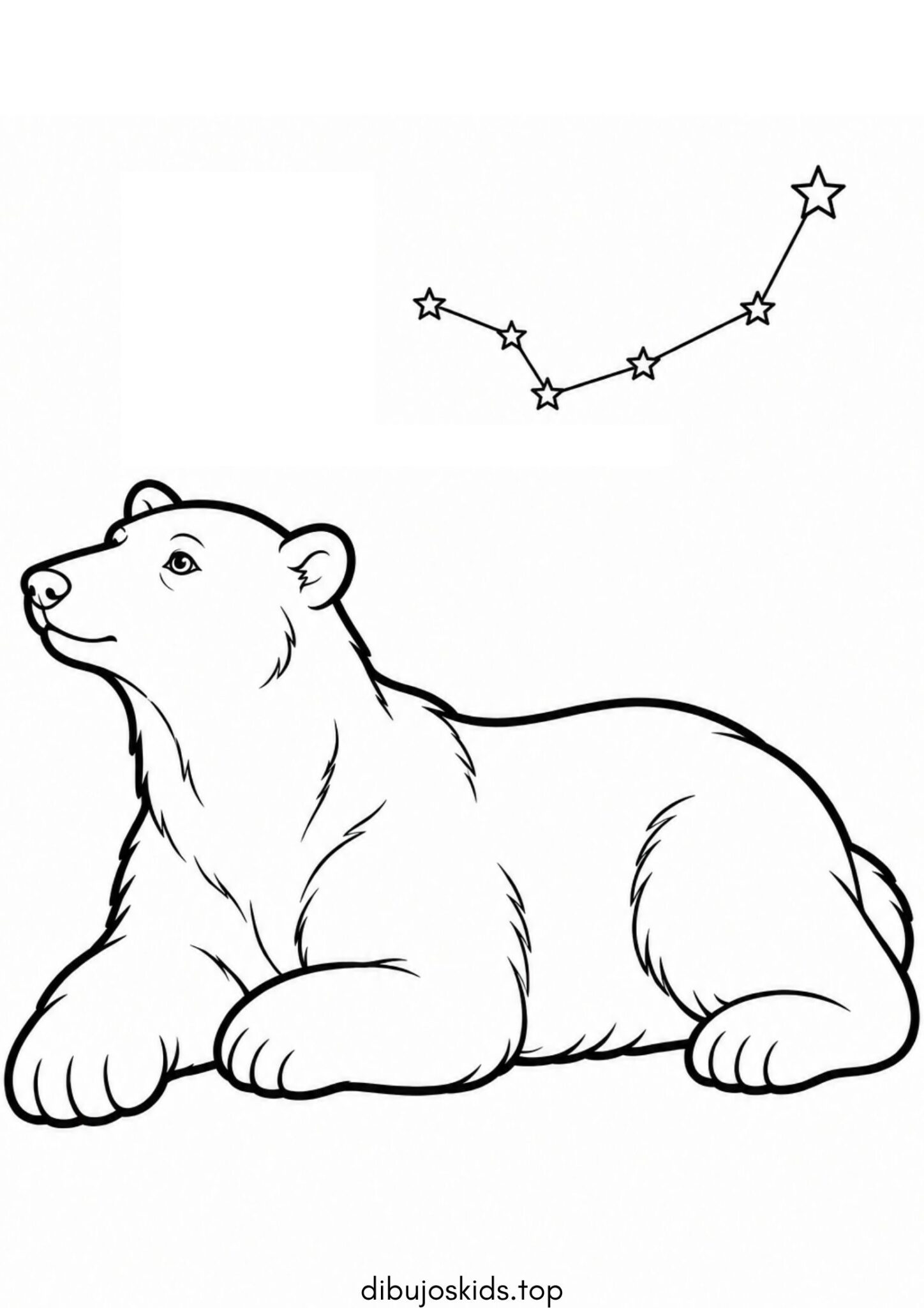 Dibujo de Oso polar para colorear