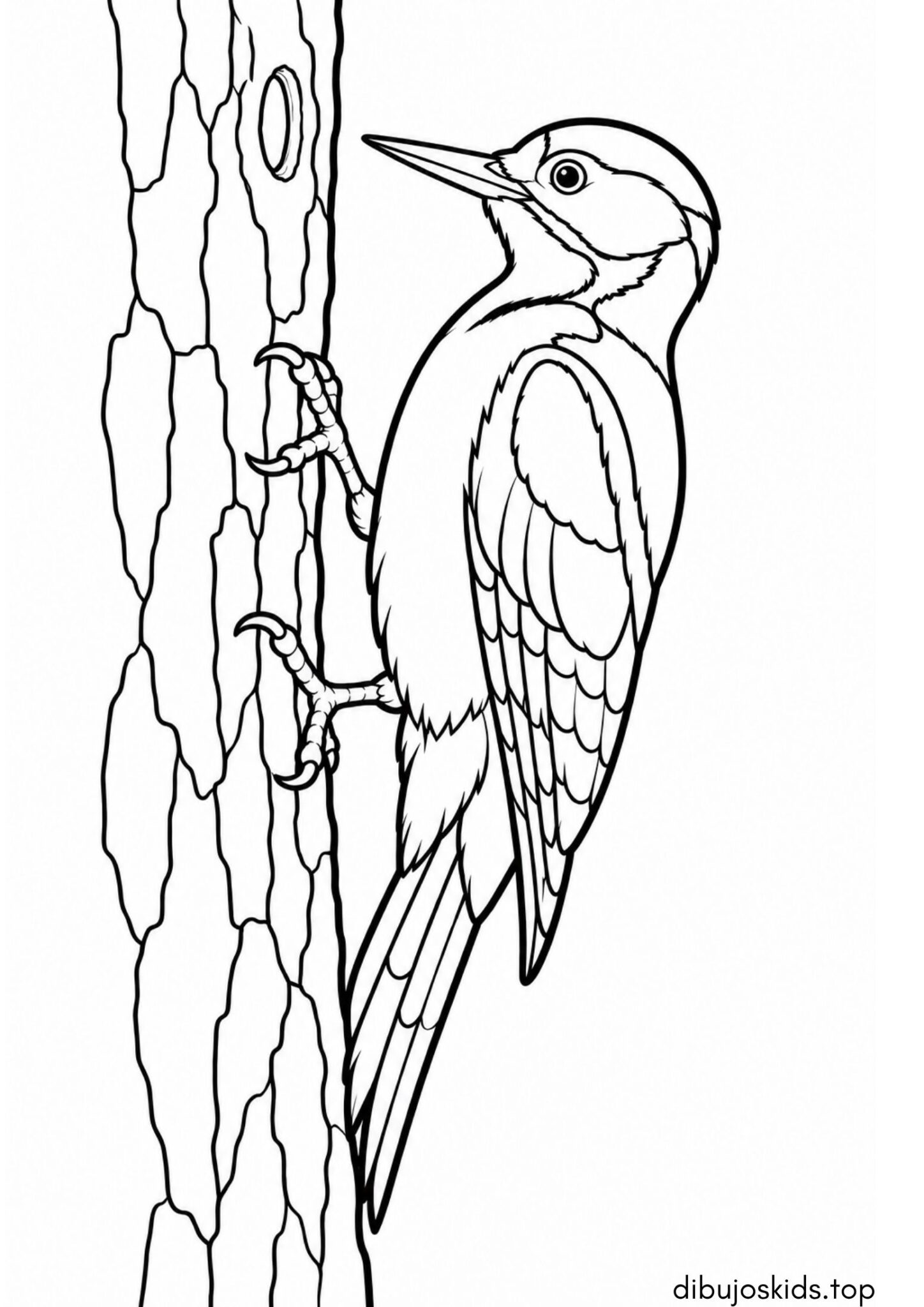 Dibujo de Pájaro carpintero en un árbol para colorear