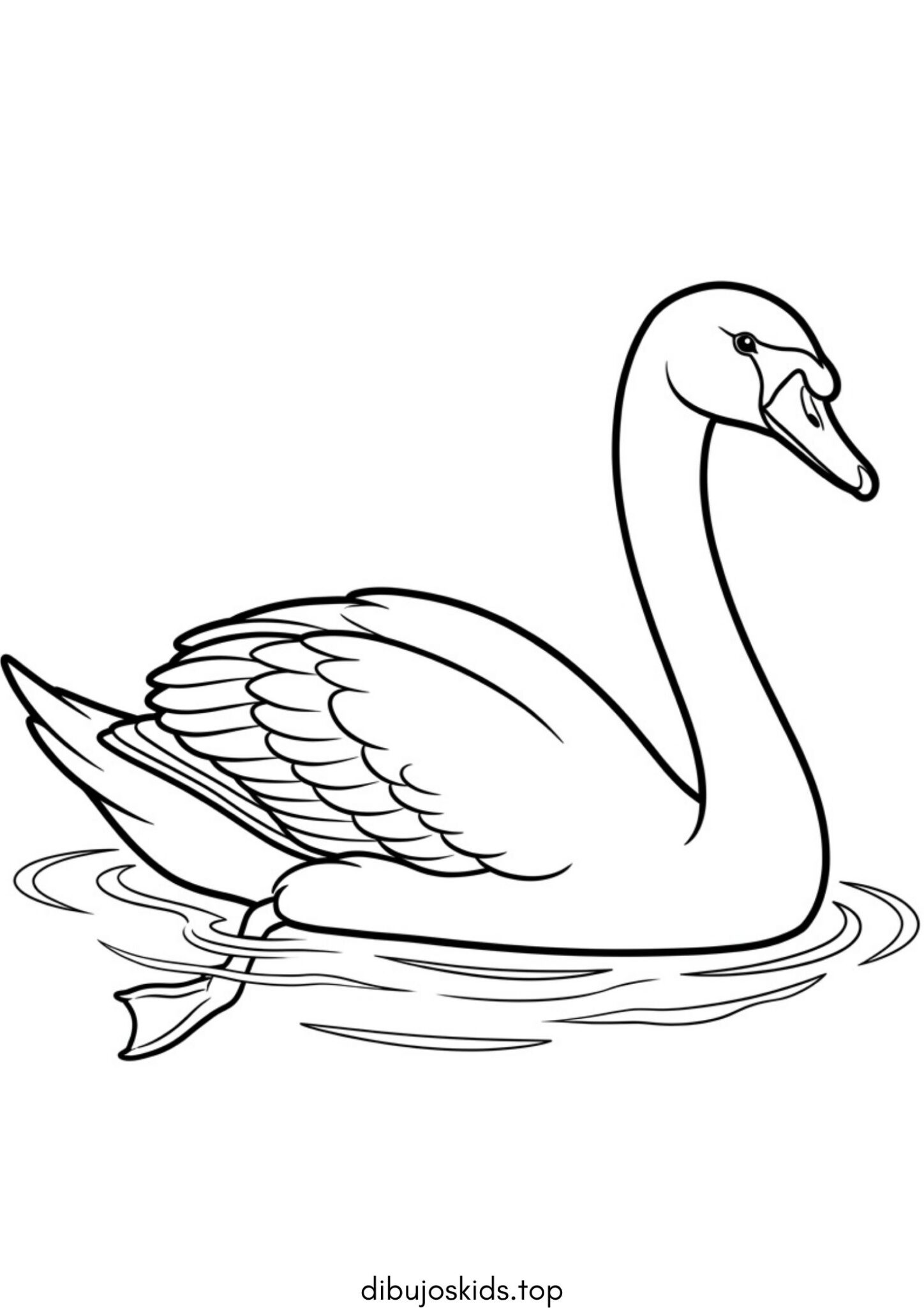 Dibujo de Pájaro cisne en el agua para imprimir Dibujo de Pájaro cisne en el agua para colorear