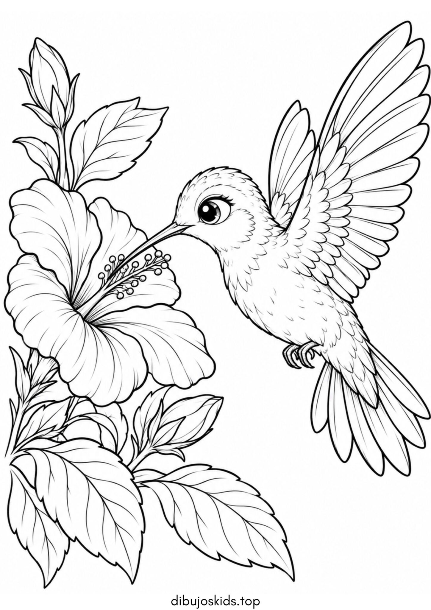 Dibujo de Pájaro colibrí junto a una flor para colorear