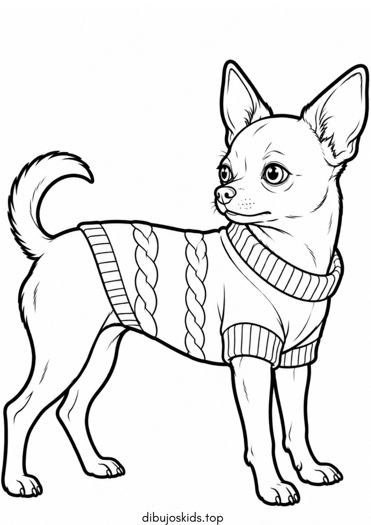 Dibujo de Perro chihuahua con suéter tejido para imprimir Dibujo de Perro chihuahua con suéter tejido para colorear