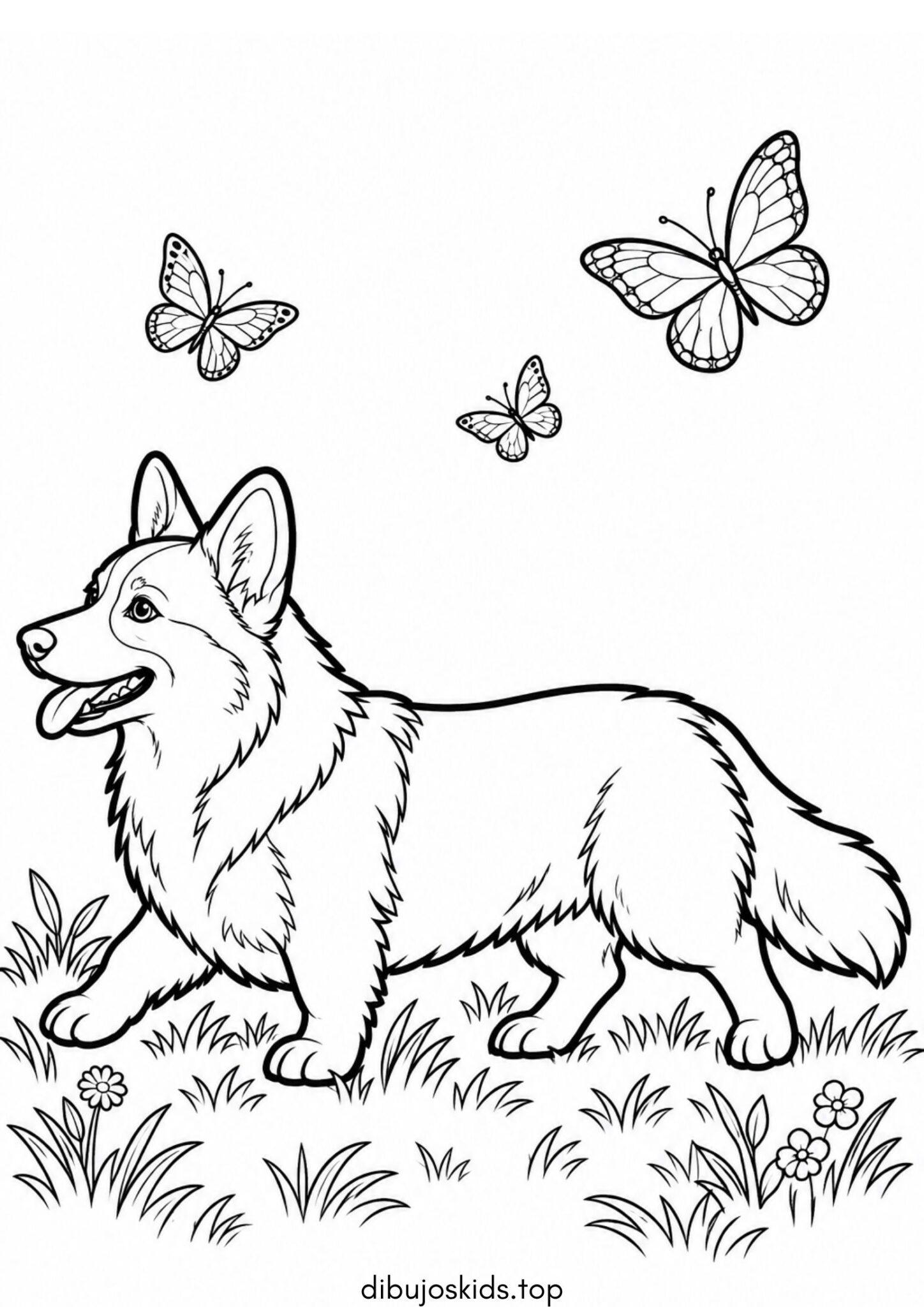Dibujo de Perro de raza corgi para colorear