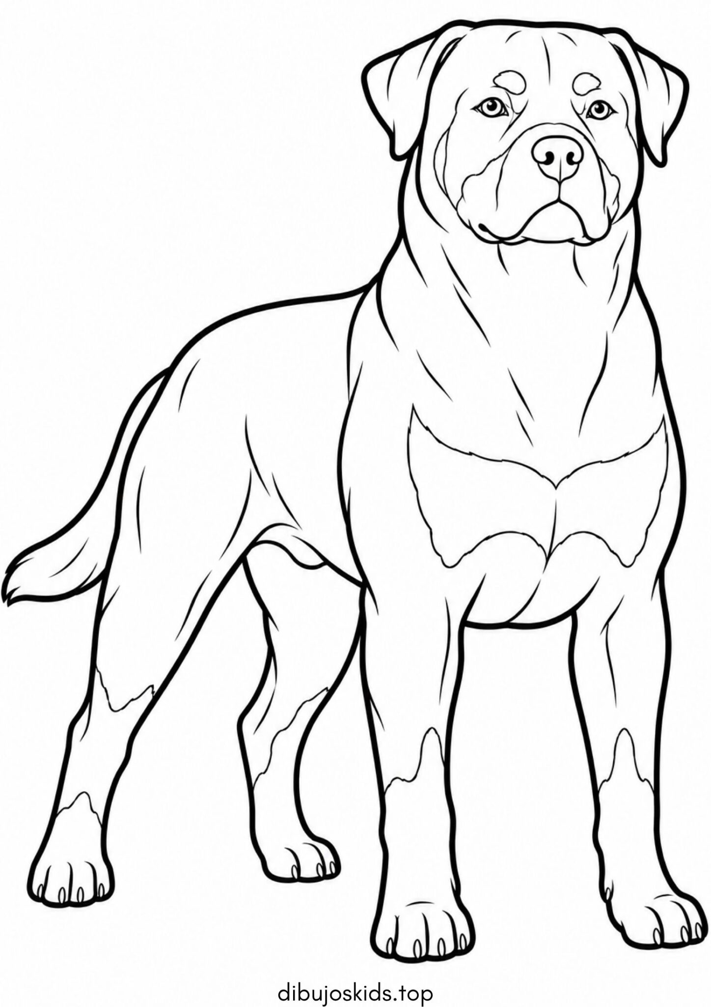Dibujo de Perro de raza rottweiler para imprimir Dibujo de Perro de raza rottweiler para colorear