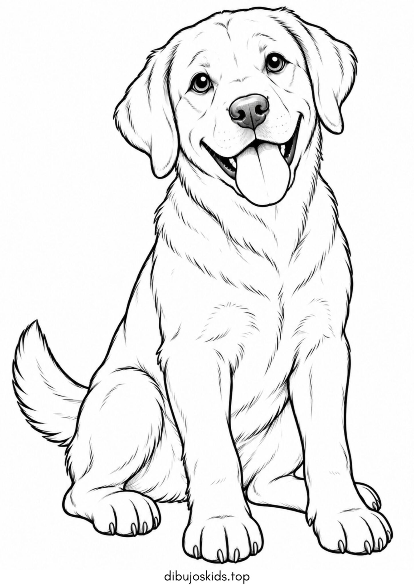 Dibujo de Perro labrador para colorear