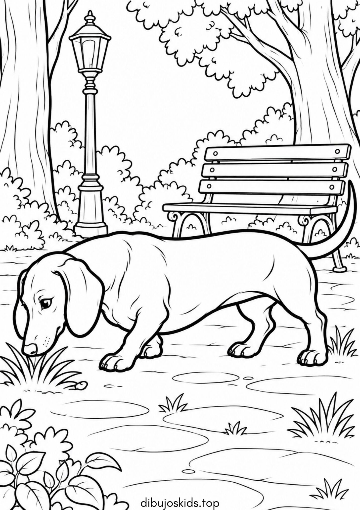 Dibujo de Perro salchicha teckel en el parque para colorear