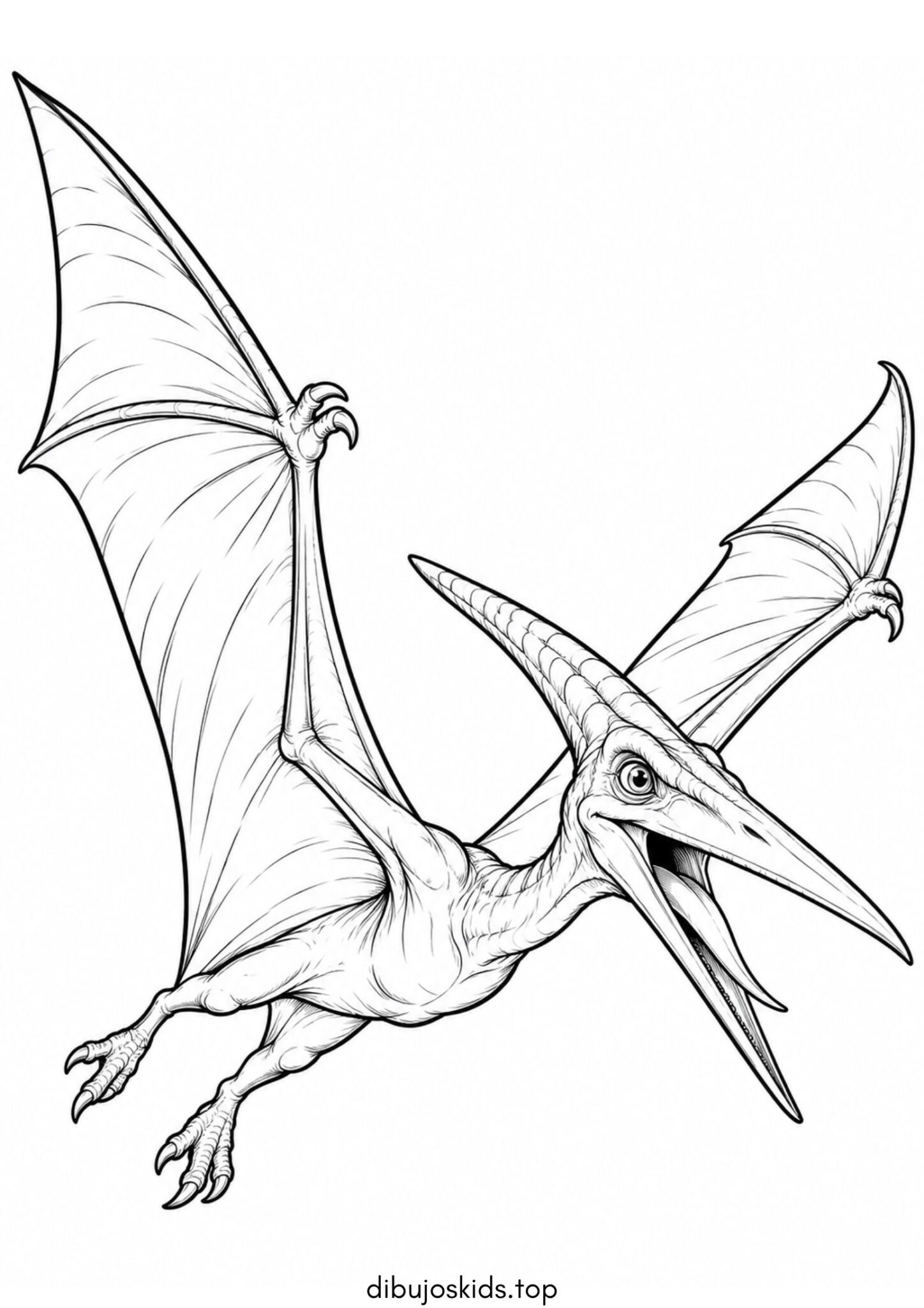 Dibujo de Dinosaurio – Pterodáctilo volando para colorear