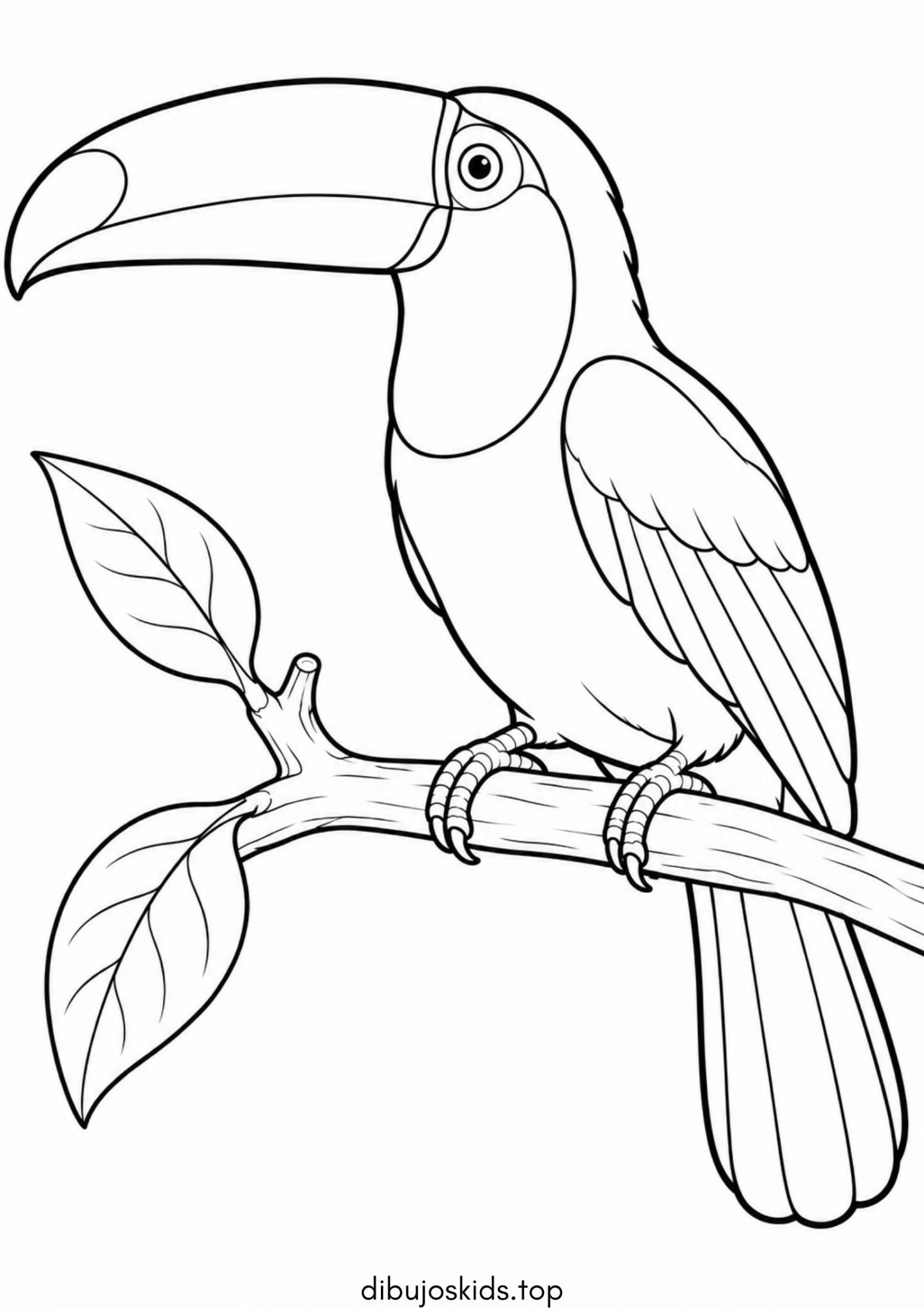 Dibujo de Tucán en una rama para imprimir Dibujo de Tucán en una rama para colorear