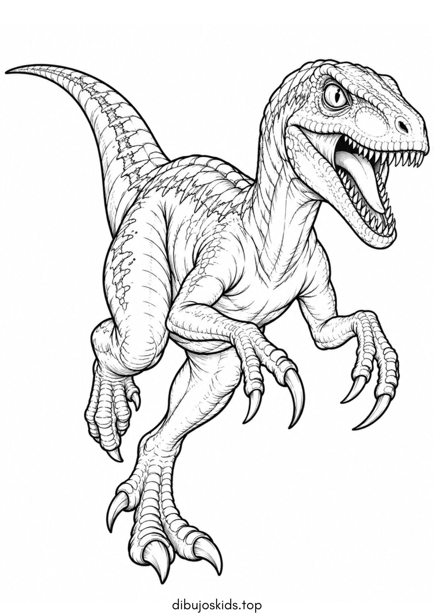 Dibujo de Dinosaurio – Velociraptor corriendo para imprimir Dibujo de Dinosaurio – Velociraptor corriendo para colorear