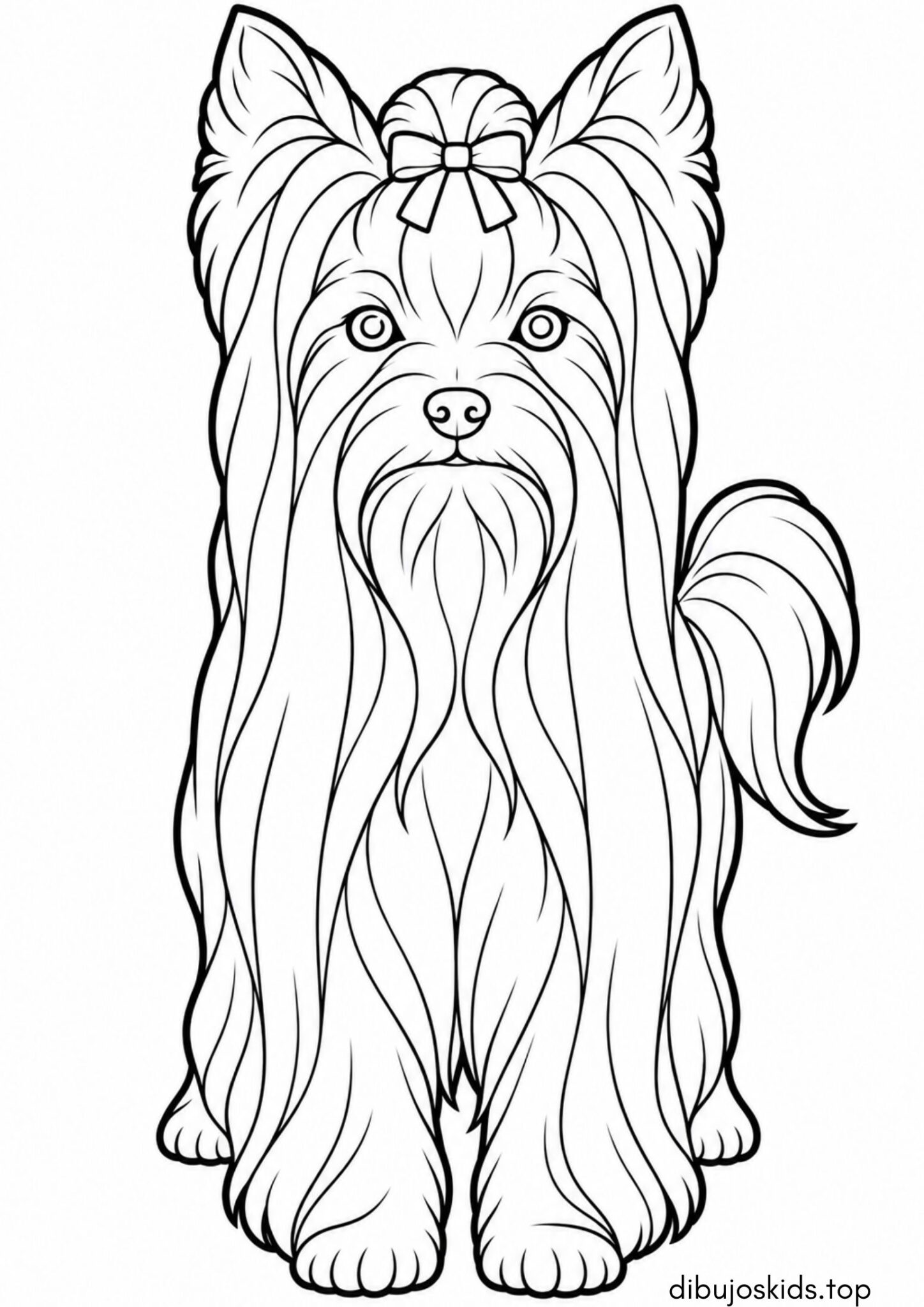 Dibujo de Yorkshire terrier con un lazo en la cabeza para imprimir Dibujo de Yorkshire terrier con un lazo en la cabeza para colorear